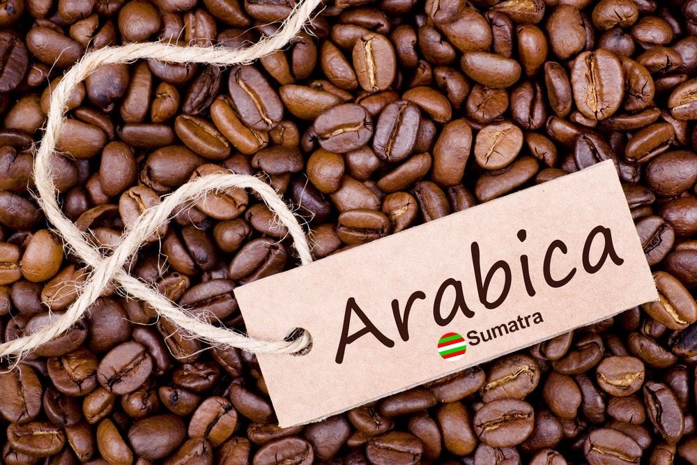 قهوه سوماترا حس شیرین
